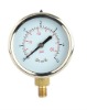 pressure gauge