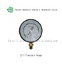 pressure gauge