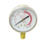 pressure gauge