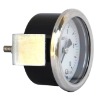 pressure gauge with U clamp