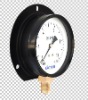 pressure gauge with back flange