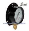 pressure guage with back flange