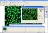 professional Microscope image process software S-ImagePro