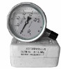 seismic pressure gauge
