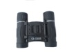sj-015 8x21 DCF binoculars D-04