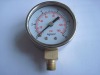 standard pressure gauge with steel polished case