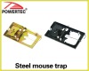 steel mouse trap