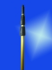 telescopic extension pole
