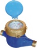 volumetric rotary piston water meter