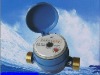 water meter