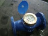 wet water meter
