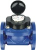 woltman detachable water meter